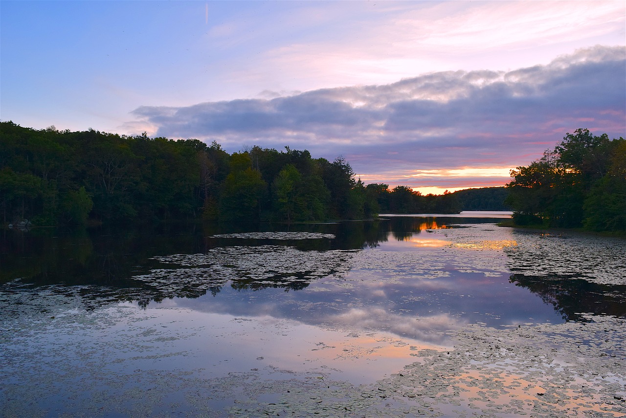 lake sunset park free photo