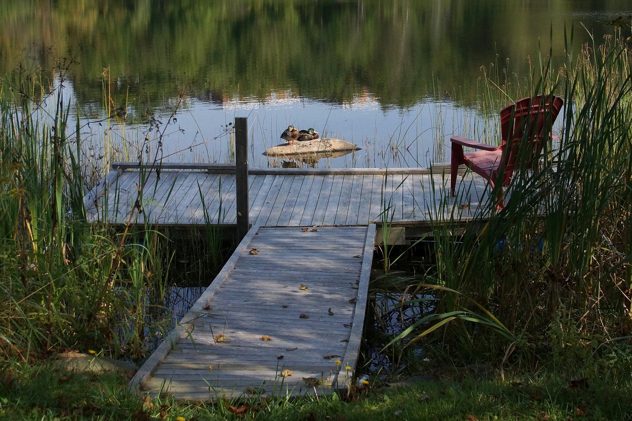 lake ducks dock free photo