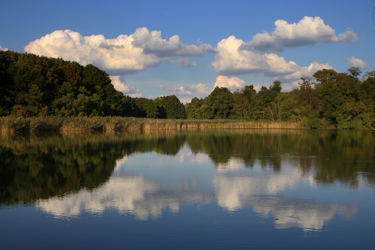 lake forest cloud free photo