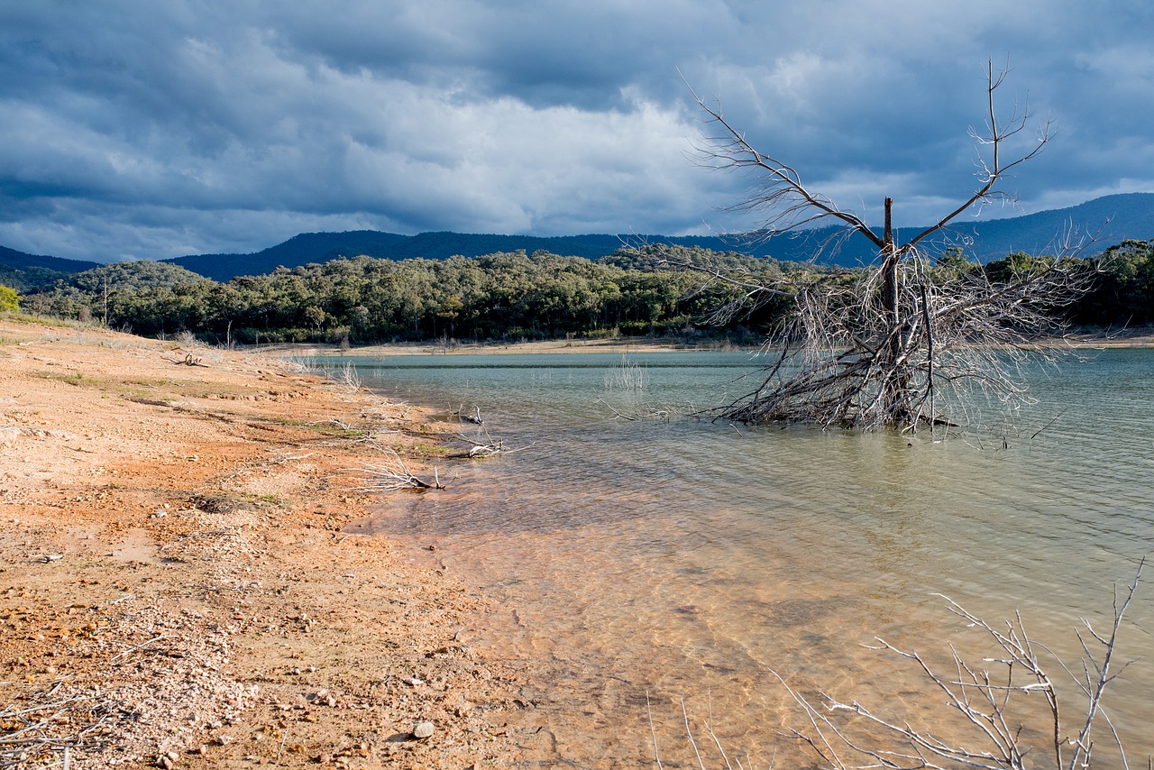 lake water calm free photo