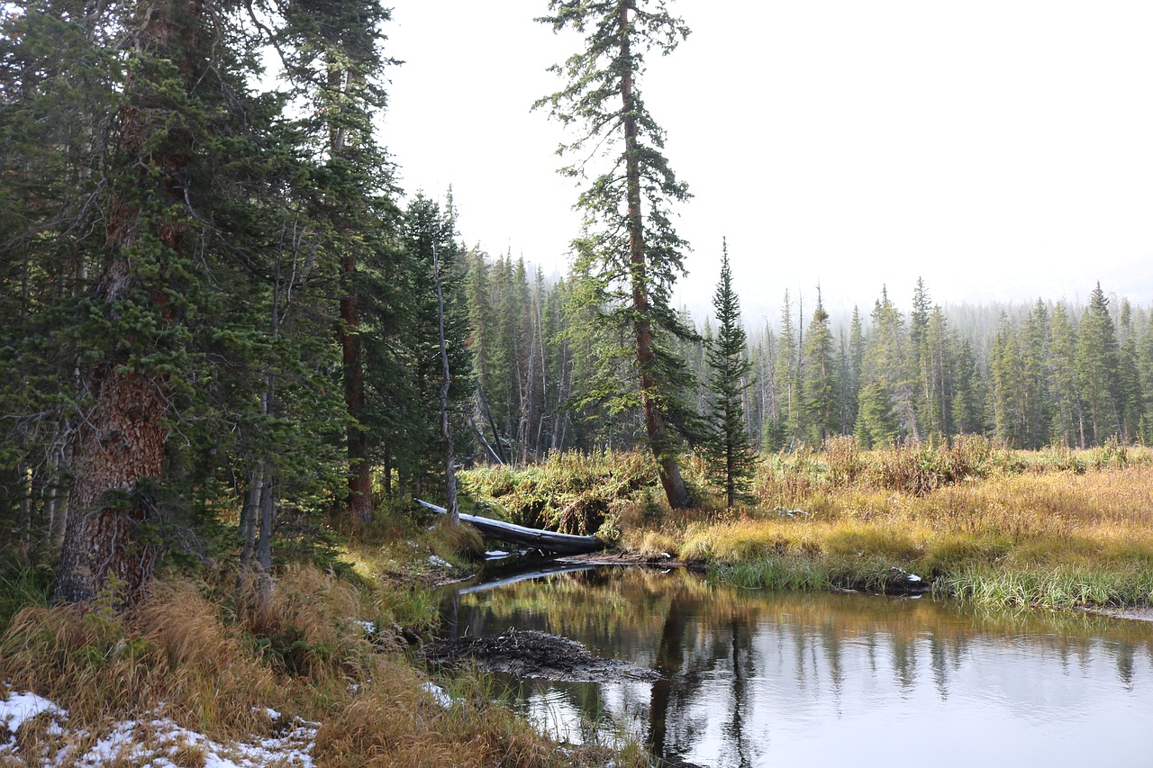 lake water nature free photo