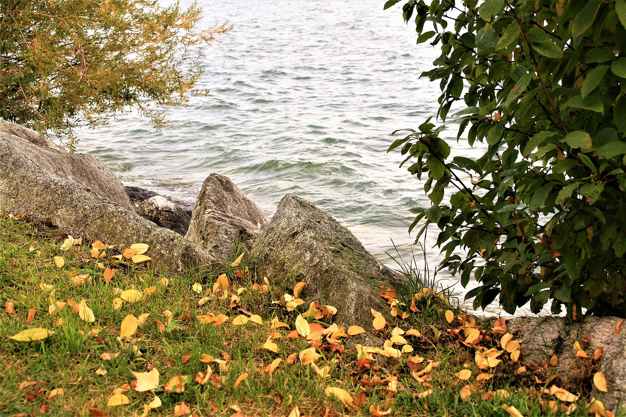 lake beach autumn free photo