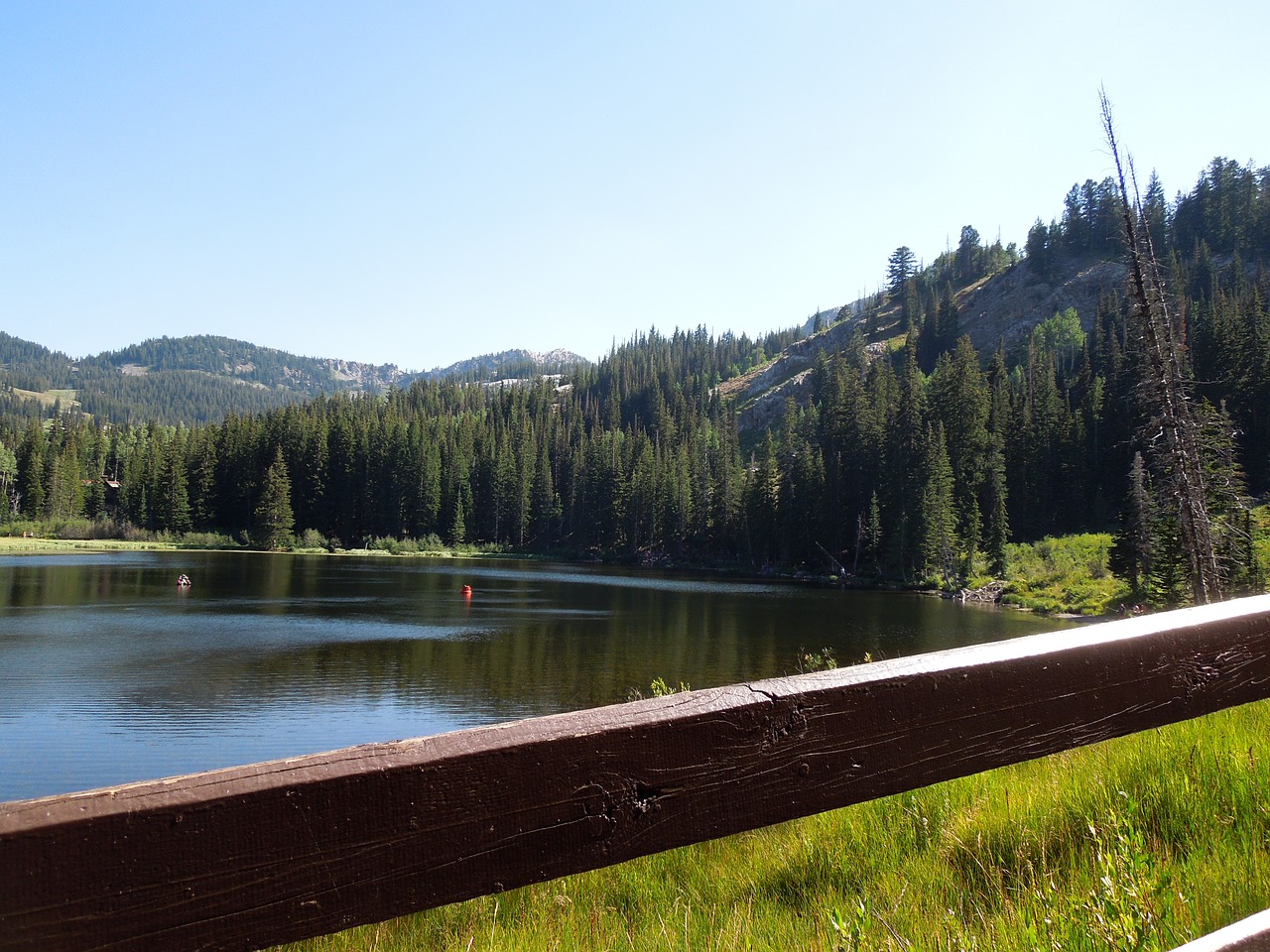 lake trees outdoors free photo