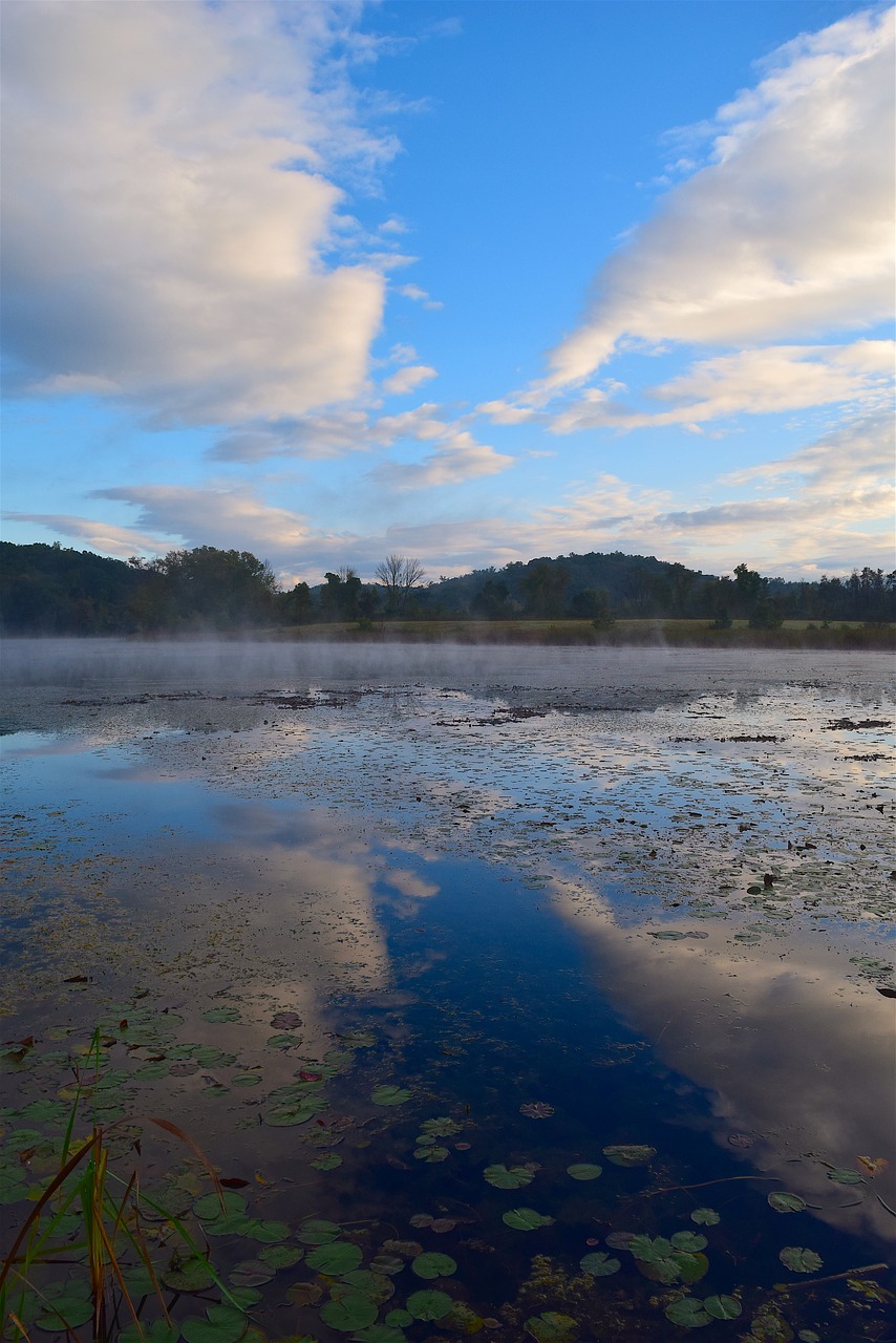 lake water reflection free photo