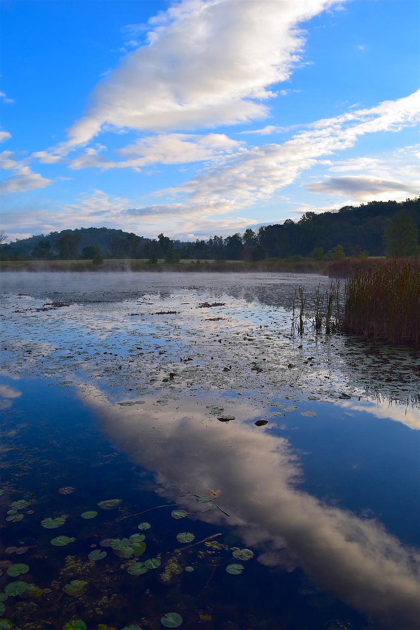 lake water reflection free photo