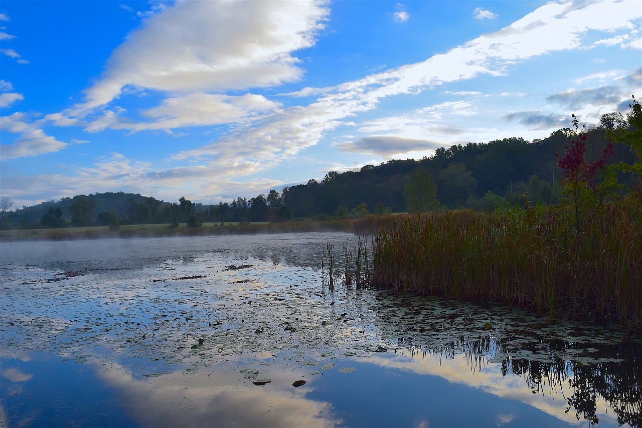 lake water reflection free photo