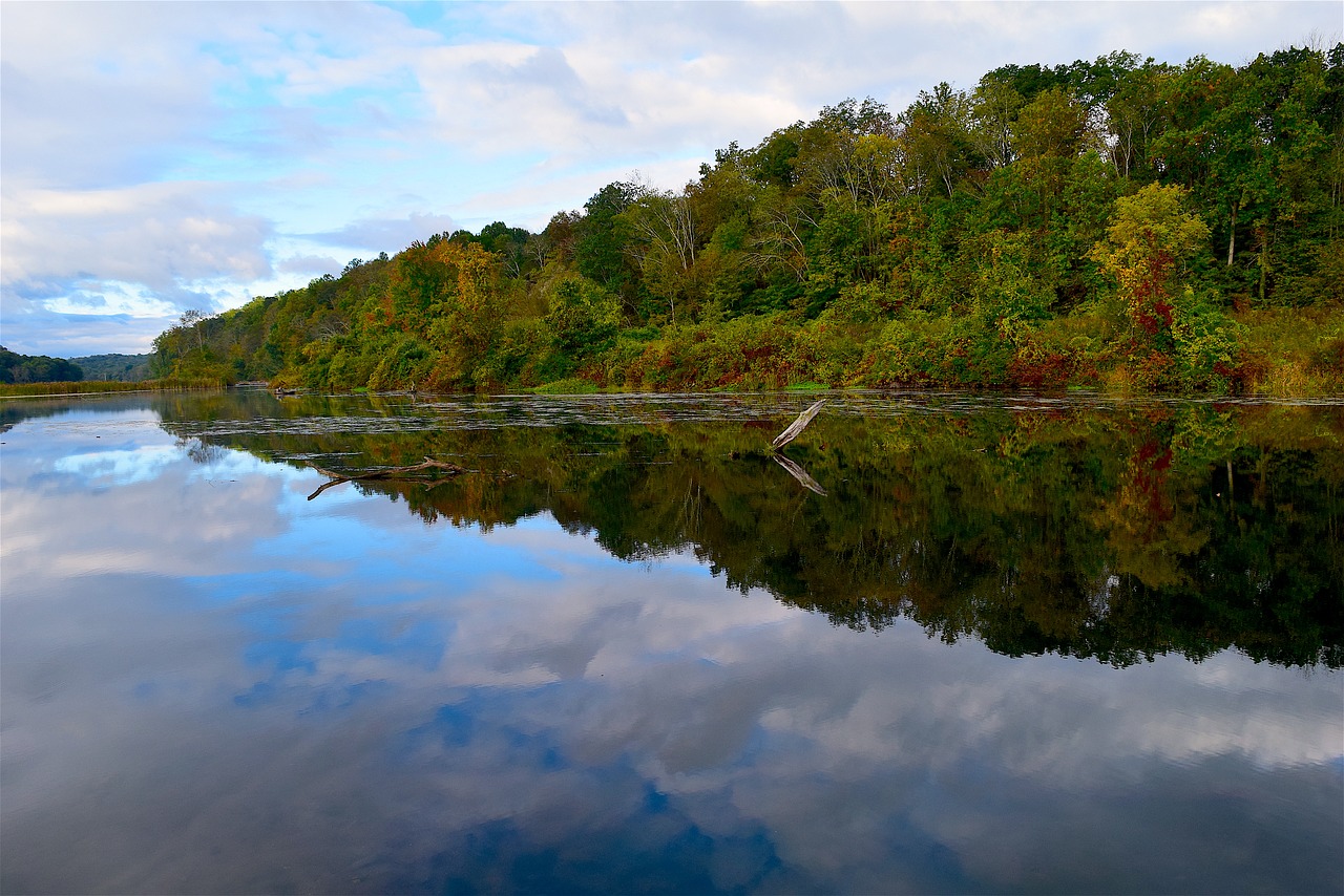 lake morning nature free photo