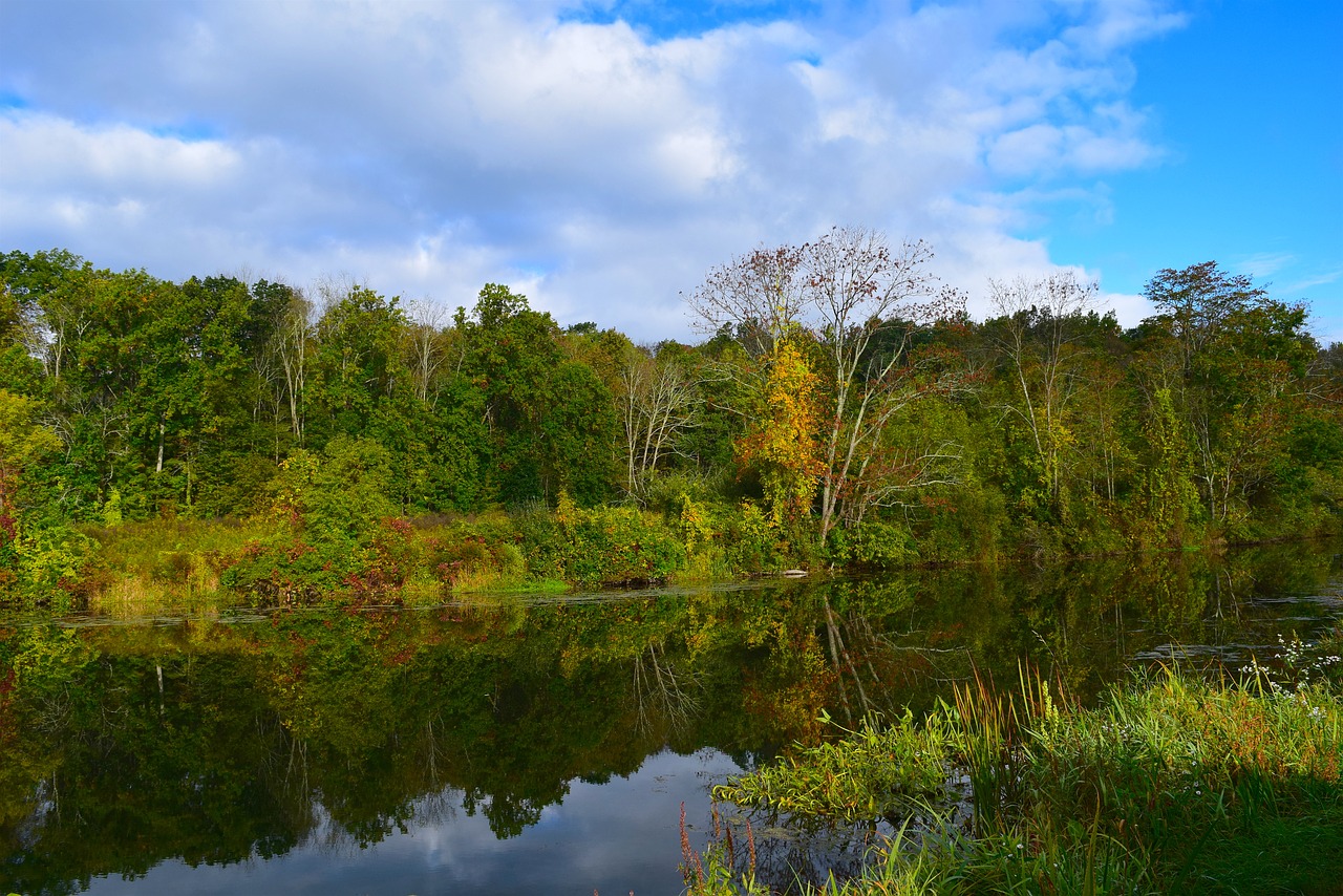 lake morning nature free photo