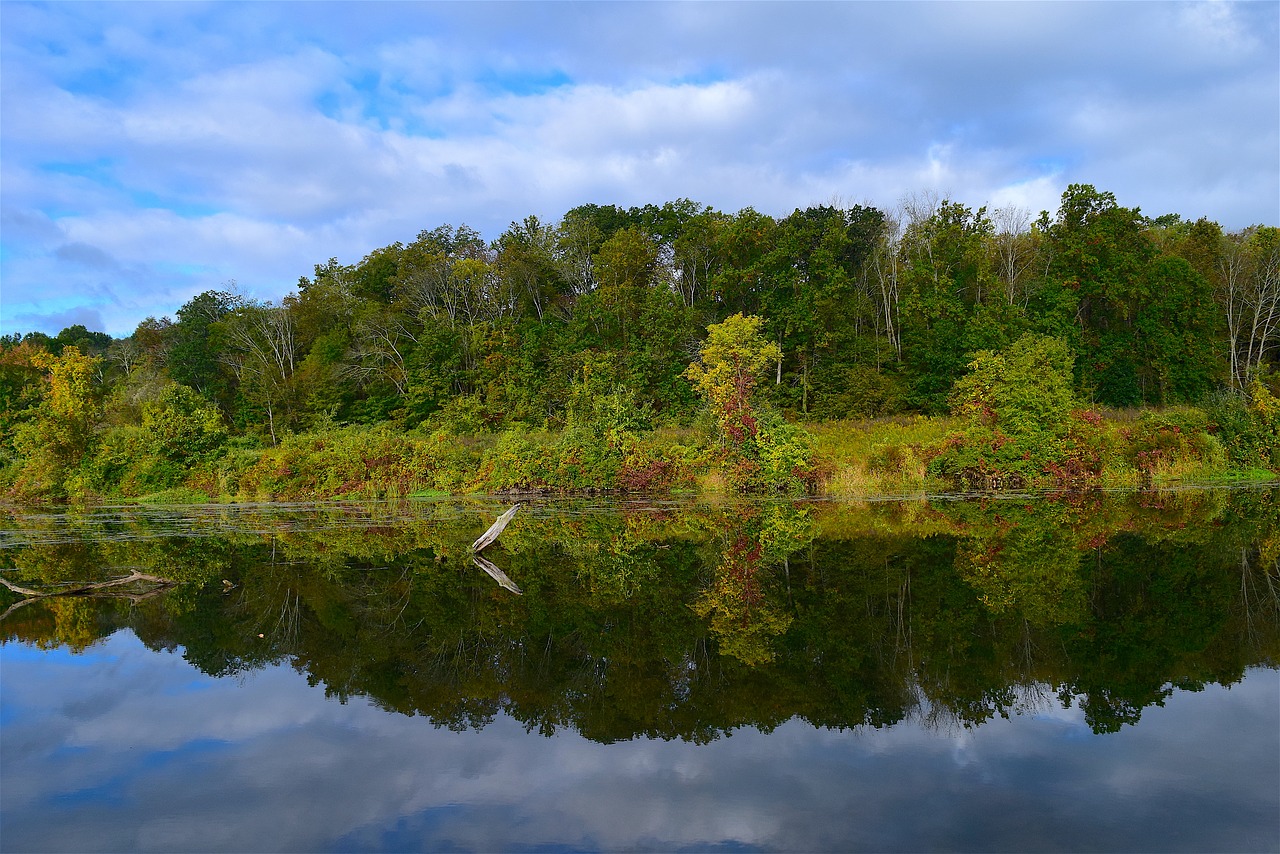 lake morning nature free photo