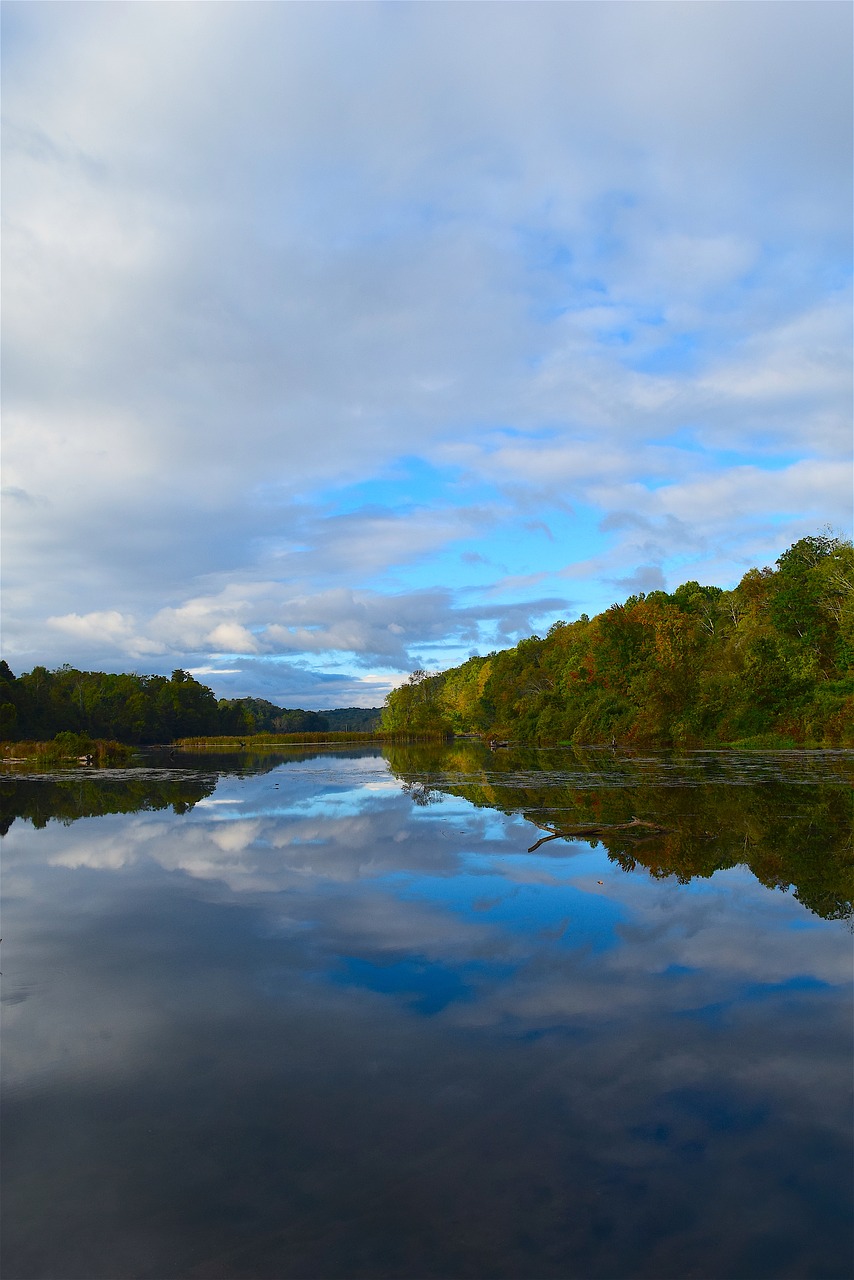 lake morning nature free photo