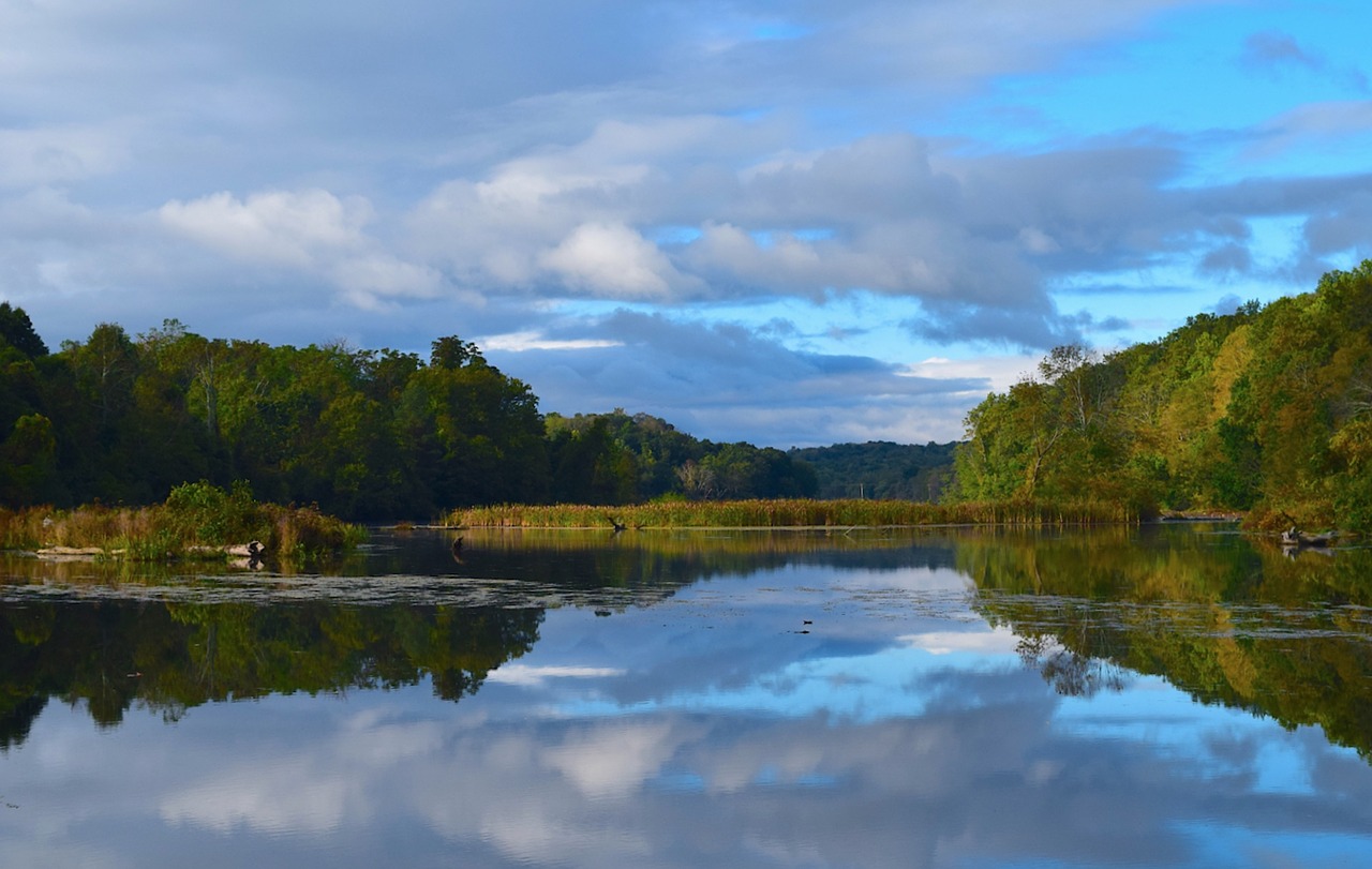 lake morning nature free photo