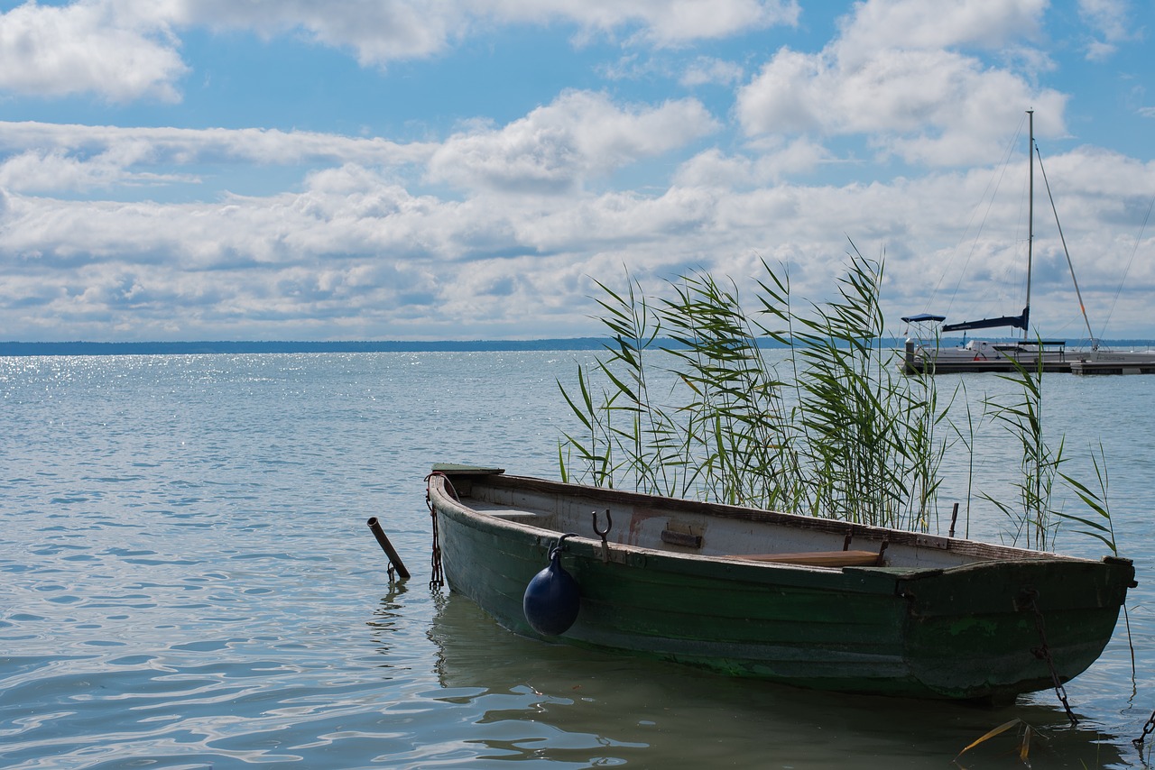 lake lake balaton water free photo