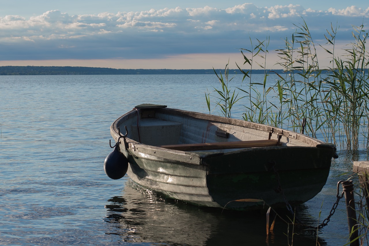 lake lake balaton water free photo