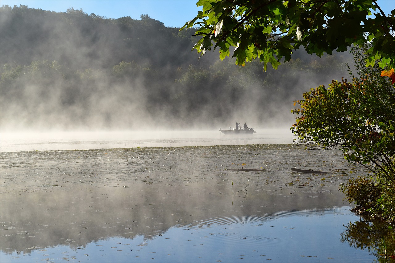 lake mist morning free photo