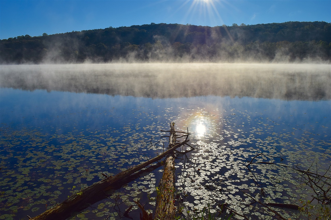 lake mist sun free photo