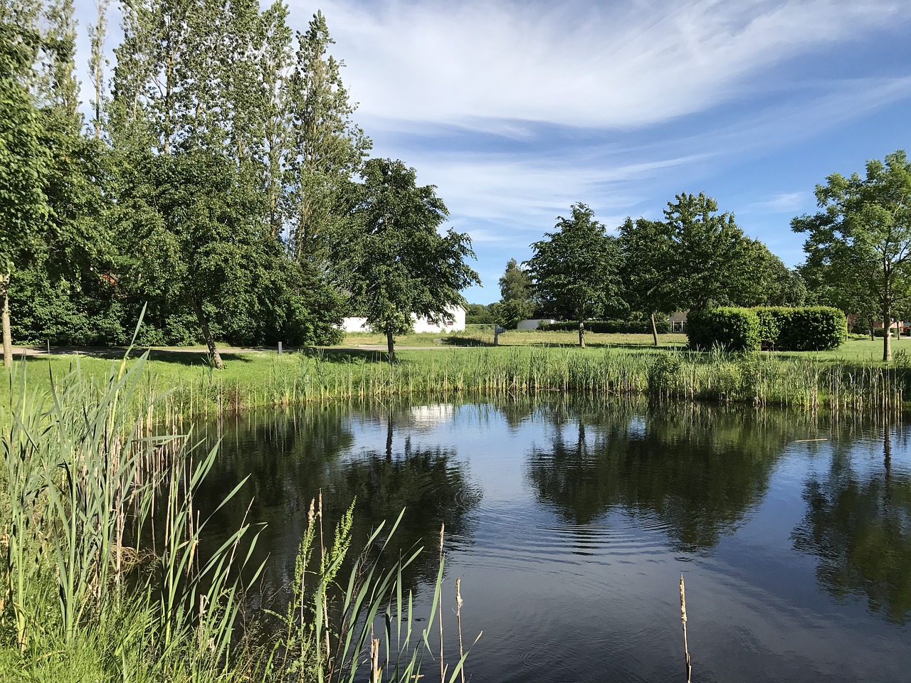 lake siv the duck pond free photo