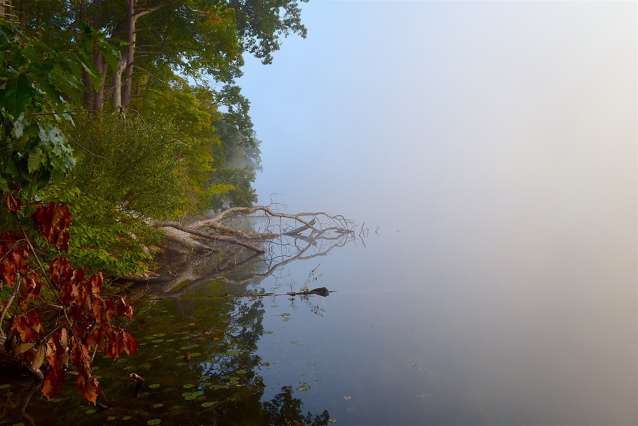 lake fog rock free photo