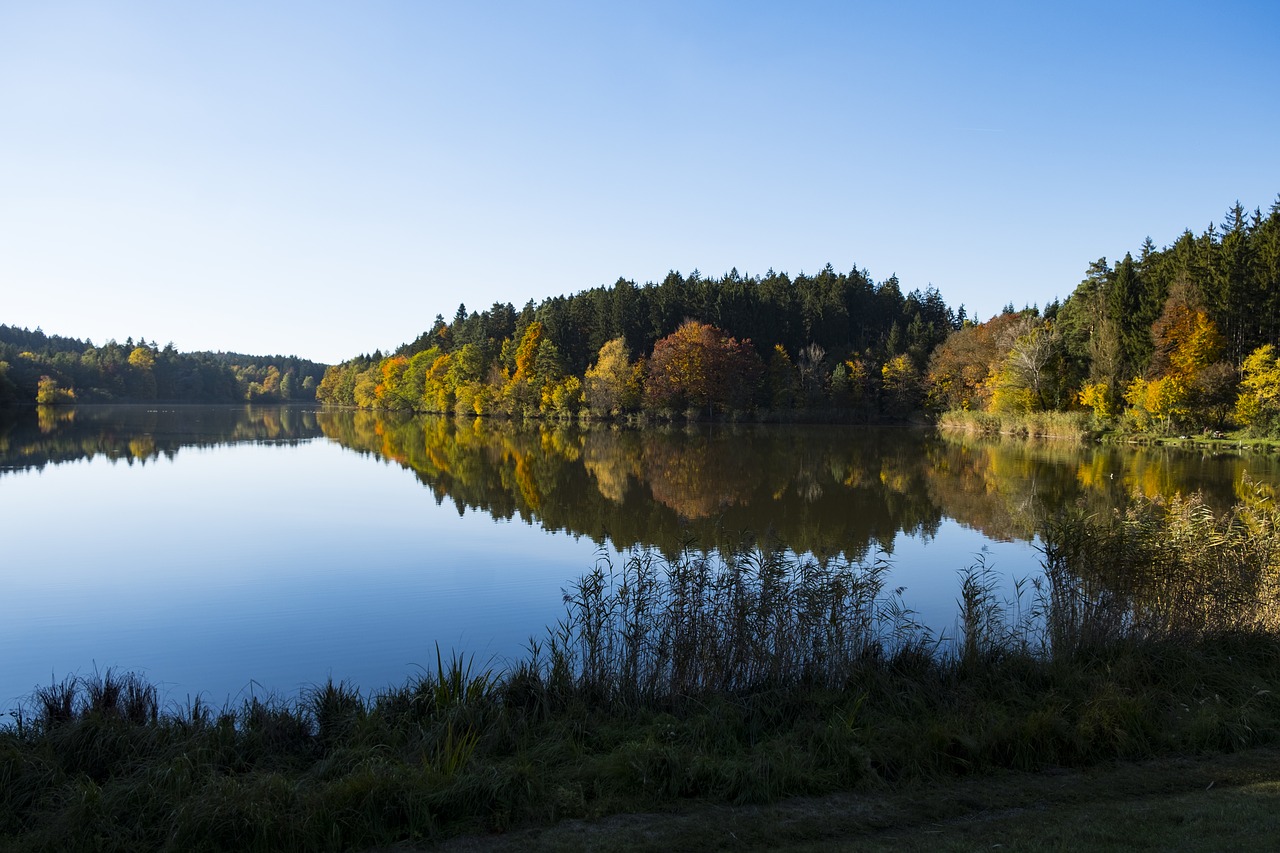 lake water autumn free photo