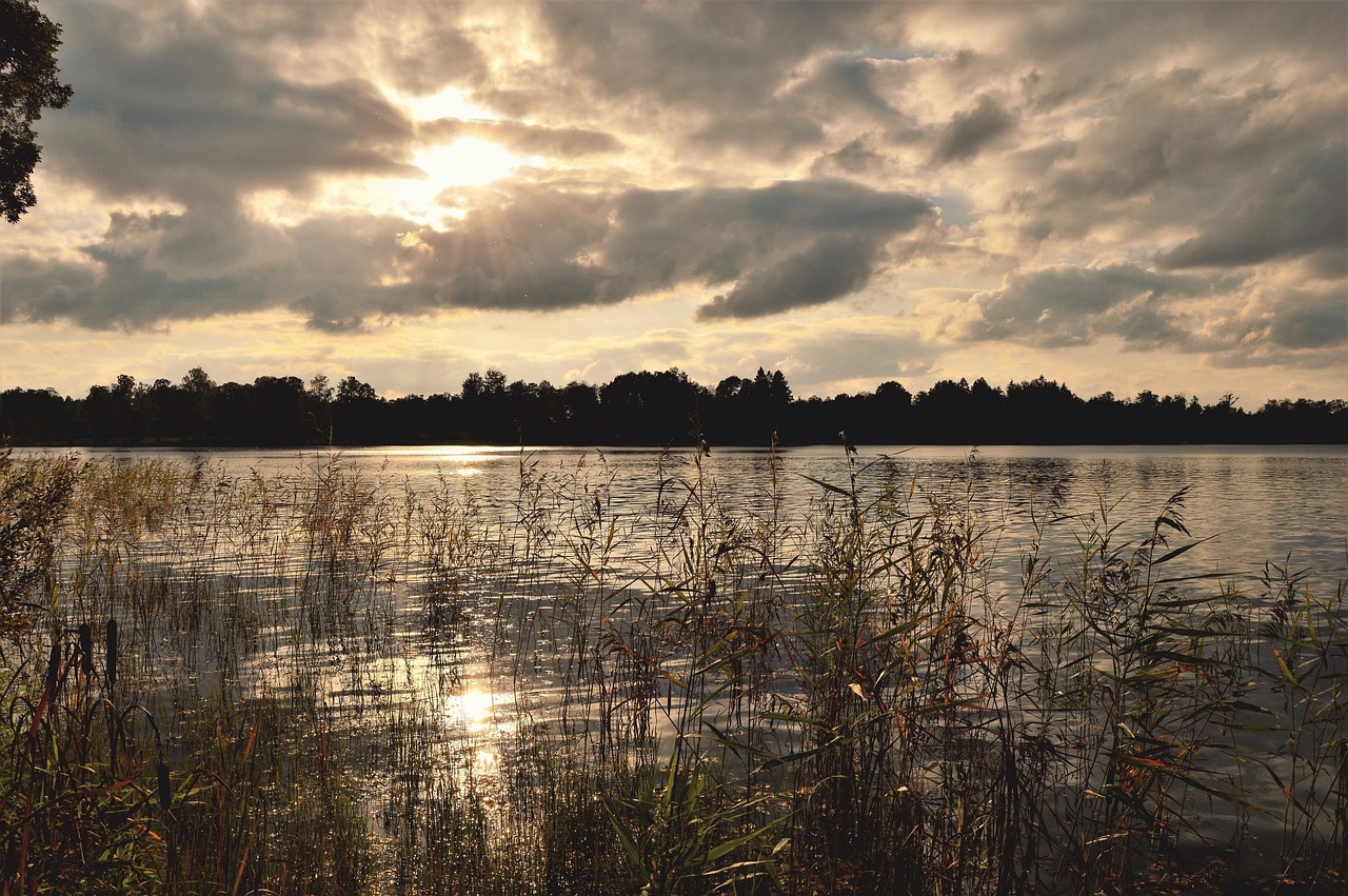 lake water views free photo