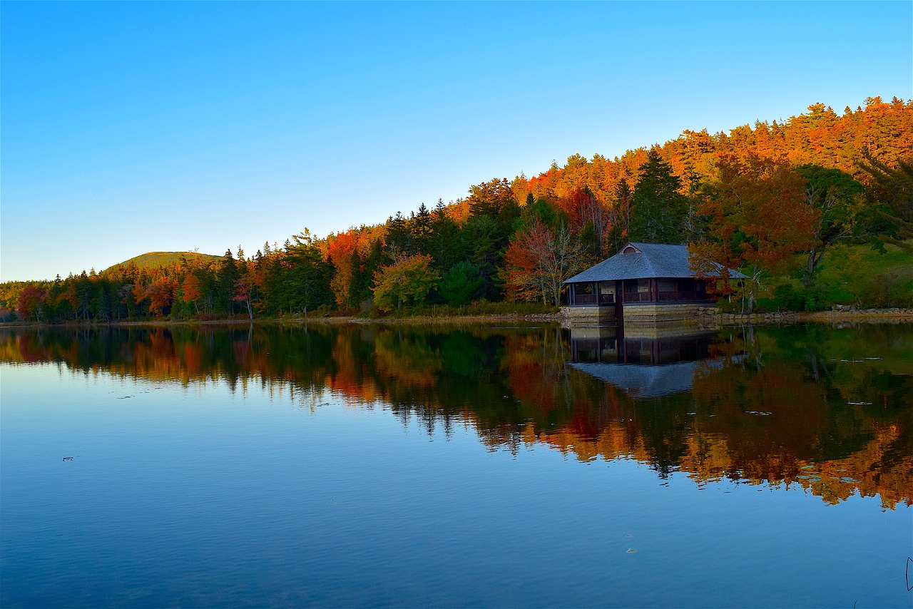 lake trees foliage free photo