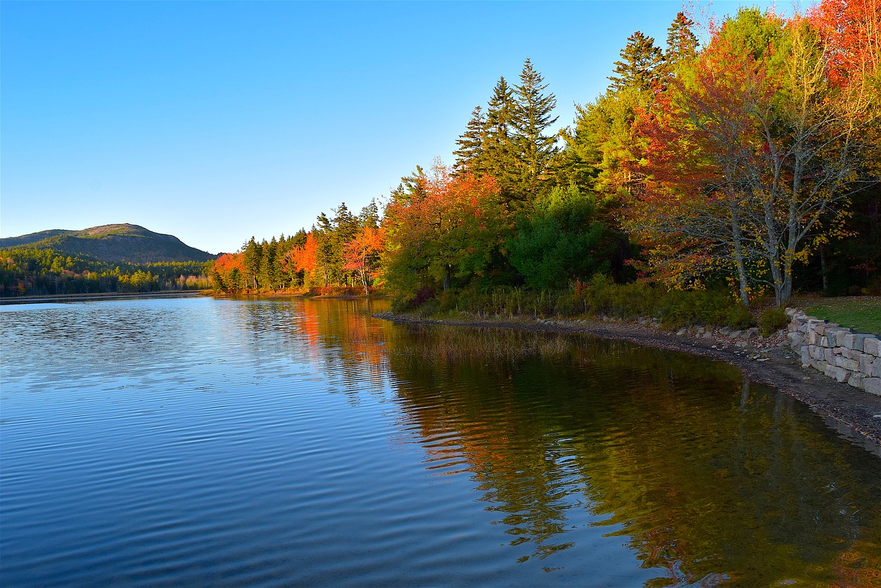 lake trees foliage free photo