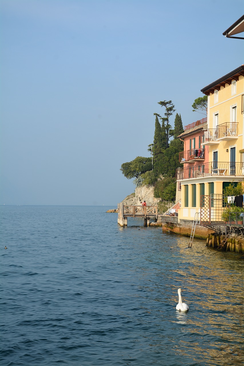 lake swan garda free photo