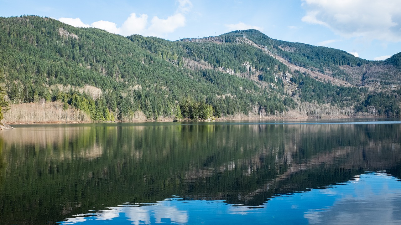 lake reflection nature free photo