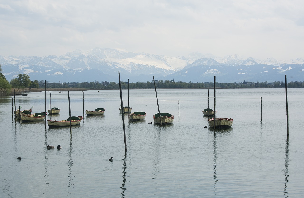 lake nature pfäffikersee free photo