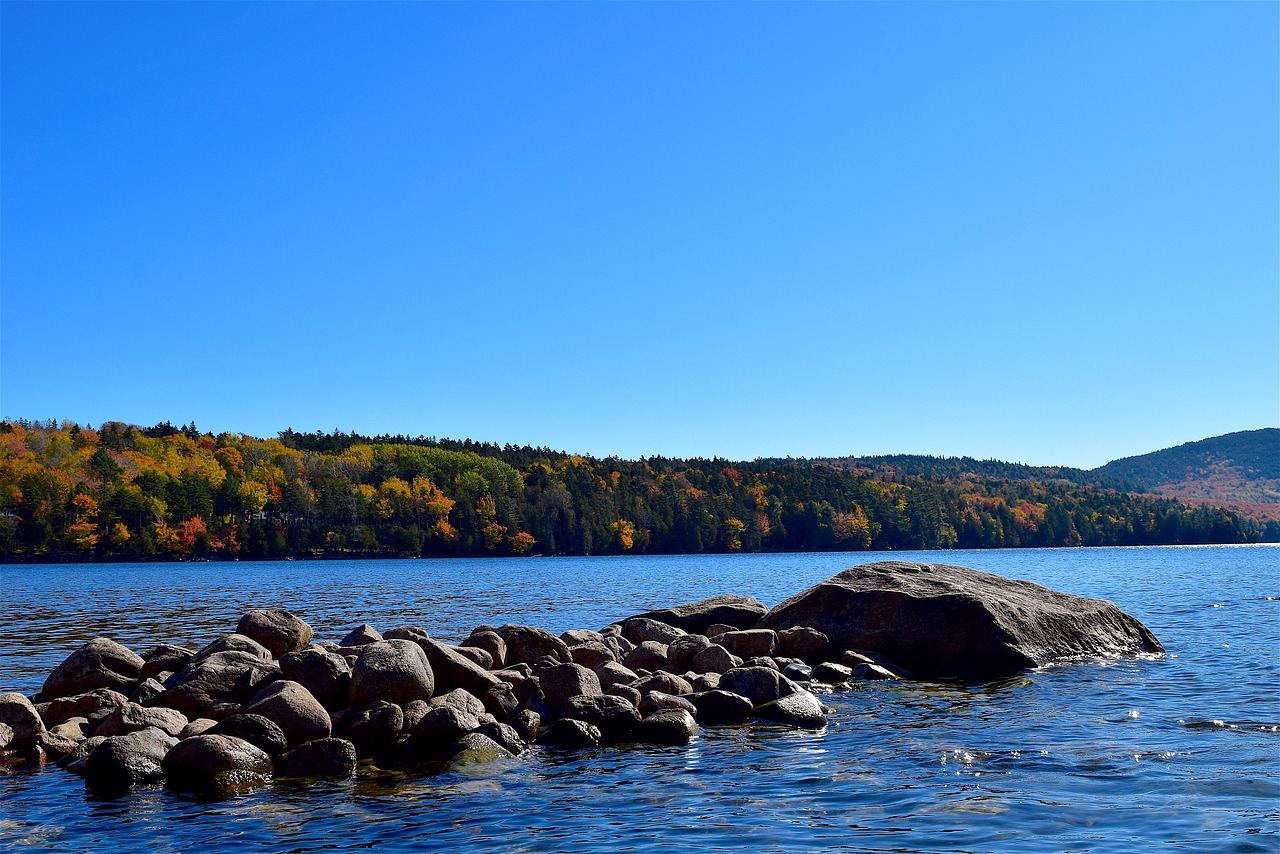 lake rocks foliage free photo