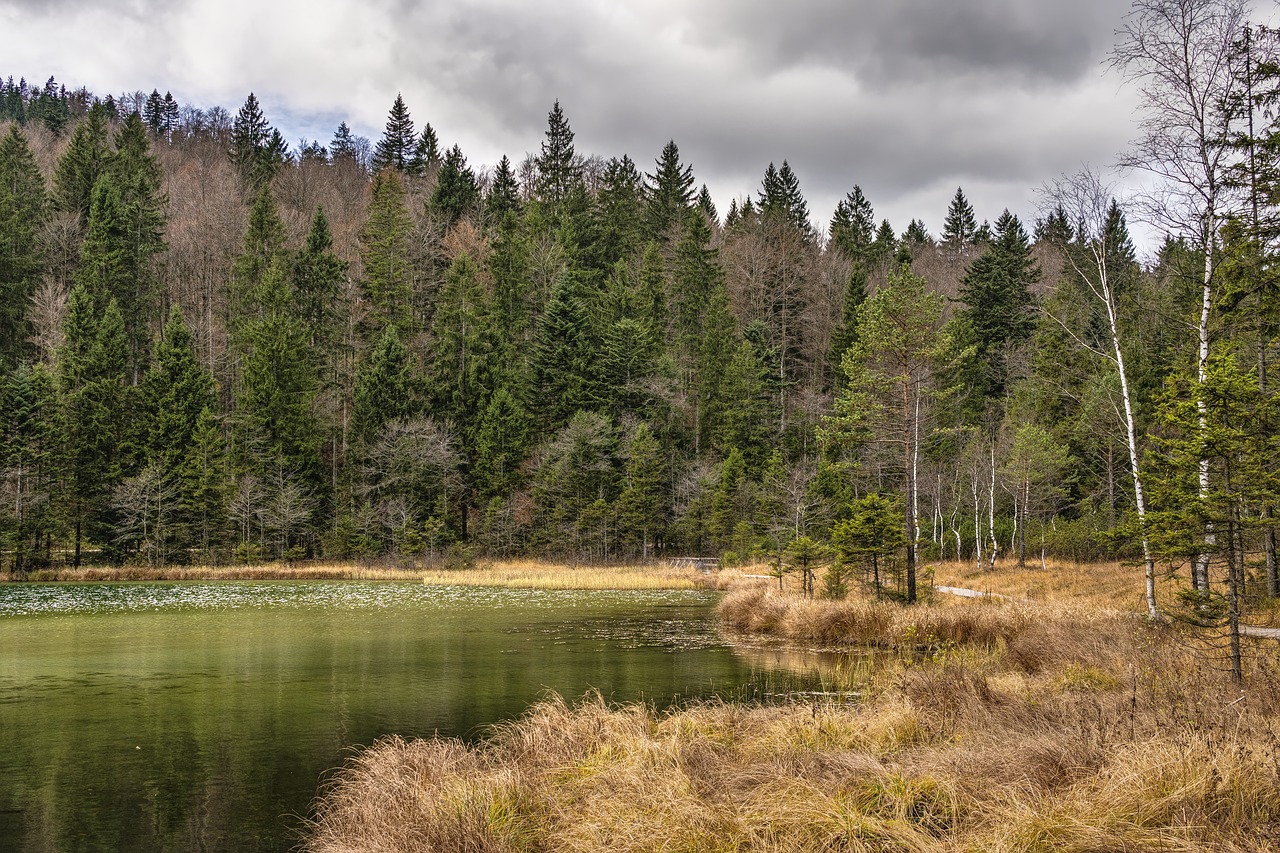 lake trees sky free photo