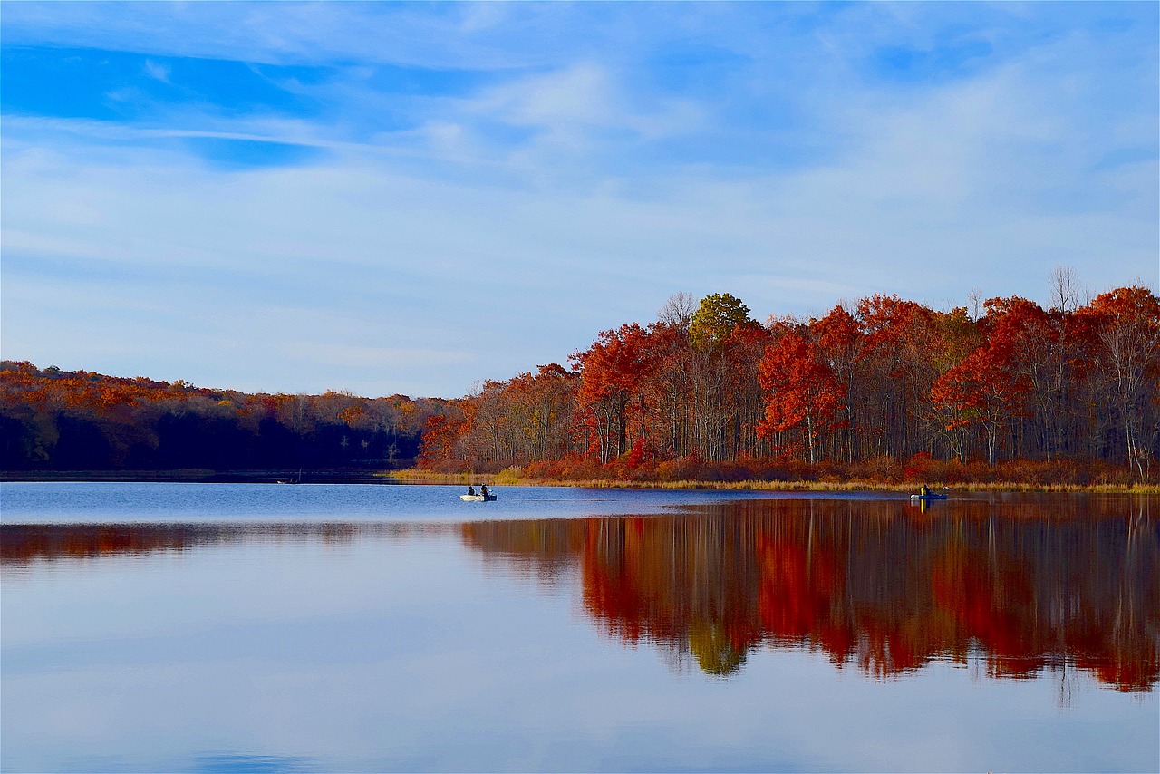 lake morning fall free photo