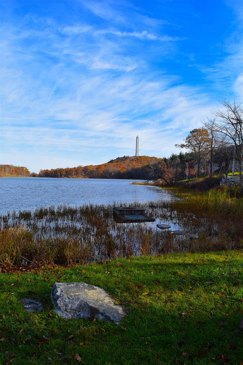 lake shore trees free photo