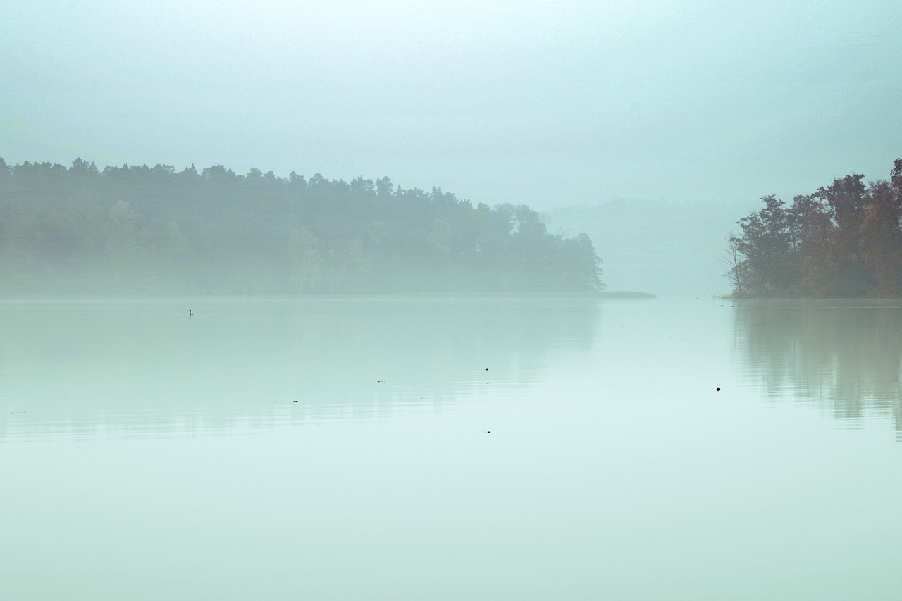 lake the fog pond free photo