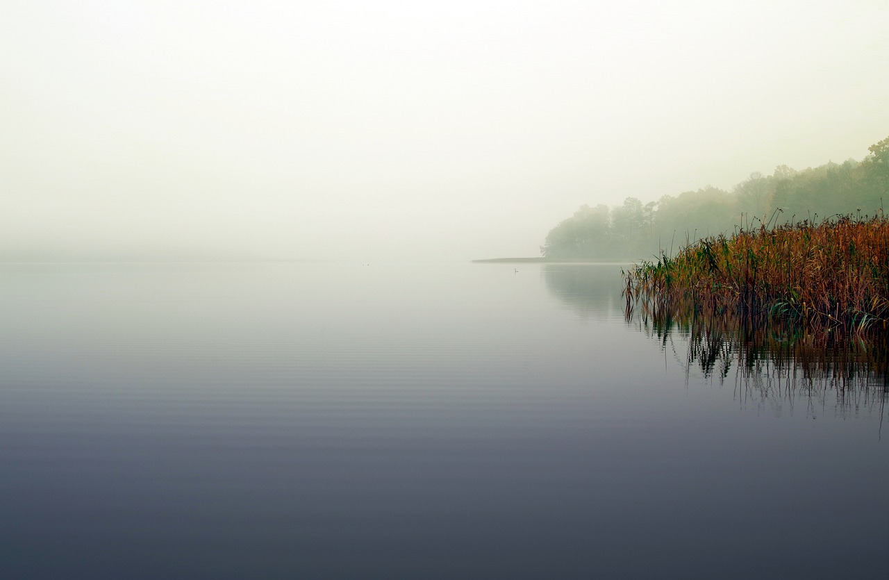 lake the fog sweet rush free photo