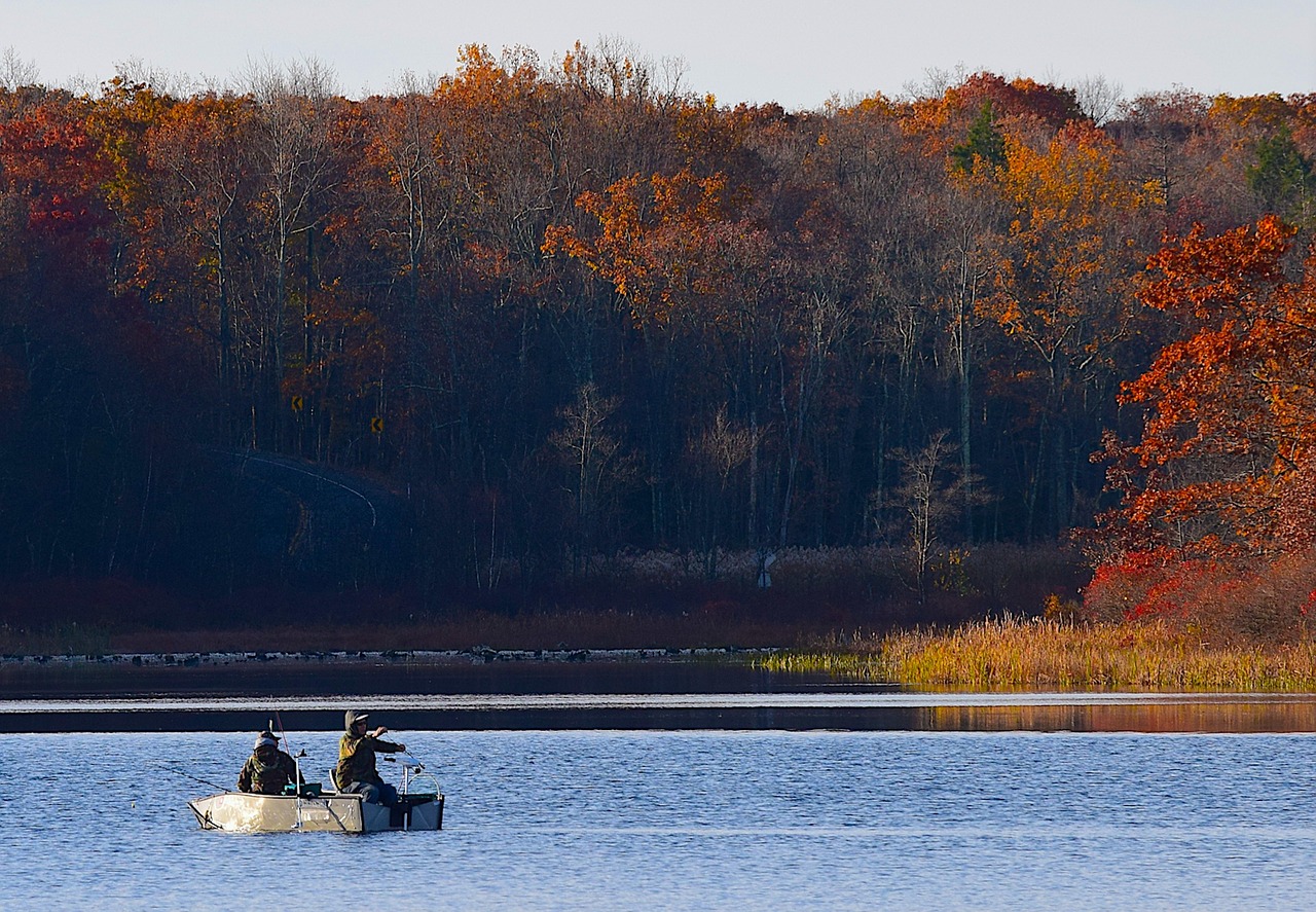 lake morning fall free photo