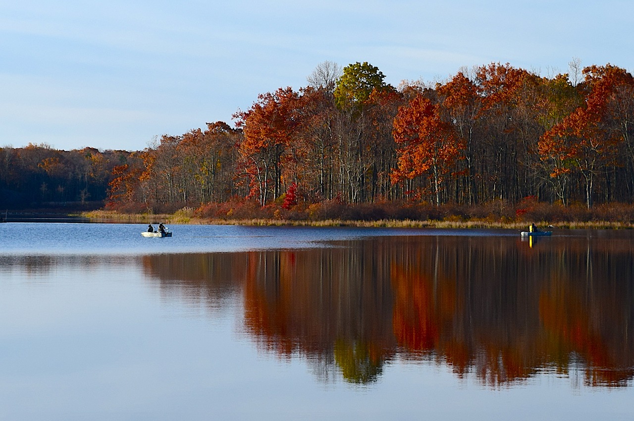 lake morning fall free photo