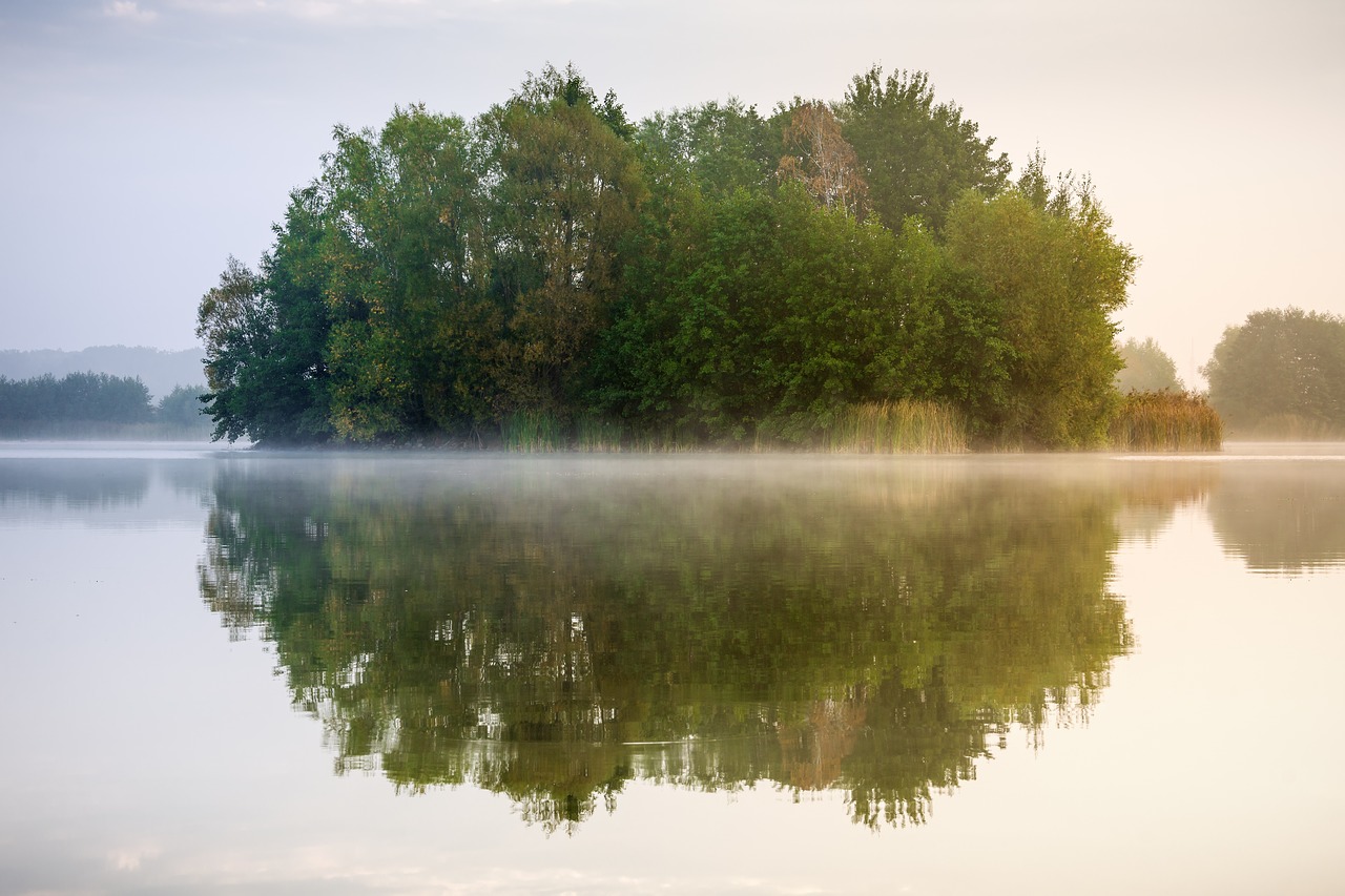 lake mirroring fog free photo