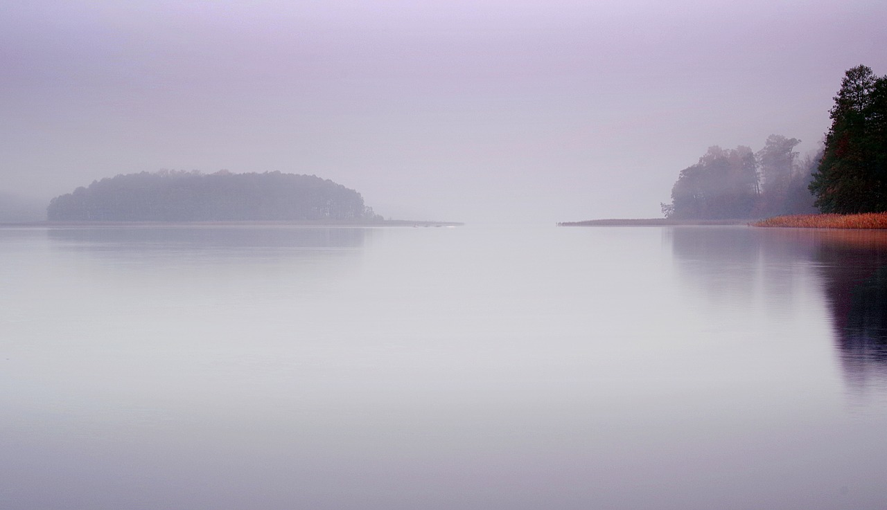 lake the fog water free photo