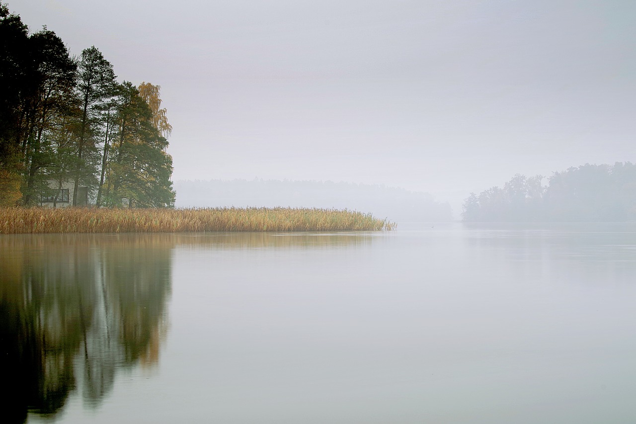 lake the fog pond free photo