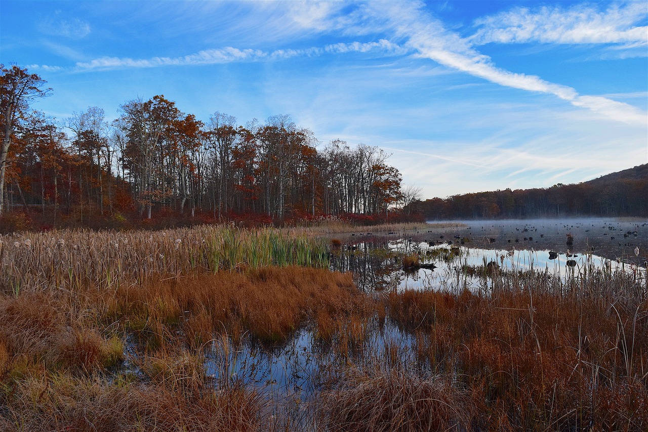 lake coast water free photo