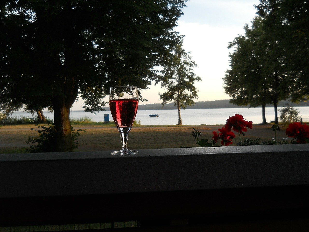 lake red wine abendstimmung free photo