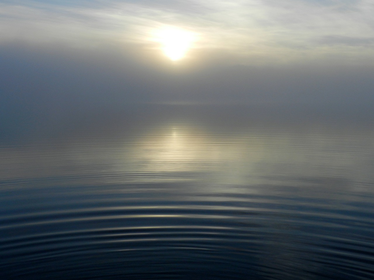 lake morning fog free photo