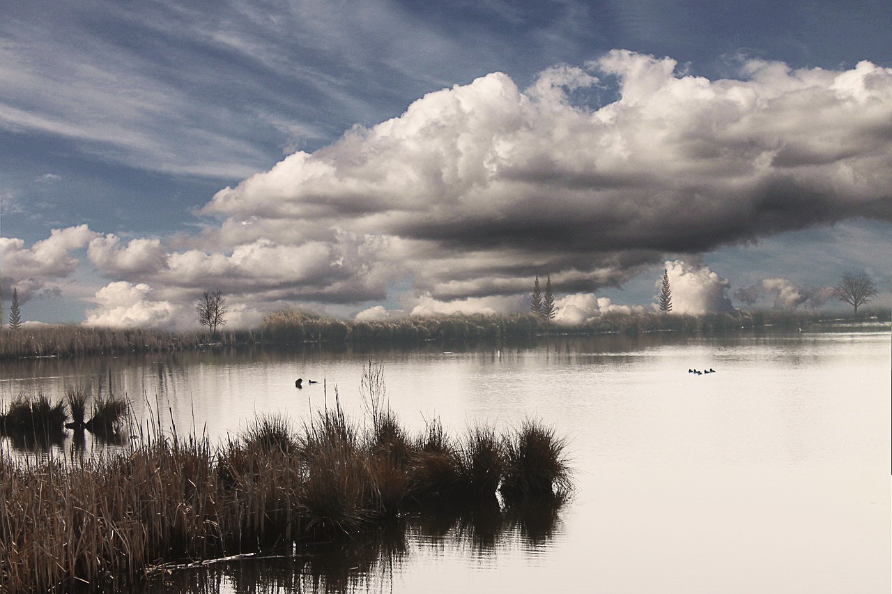 lake clouds water free photo