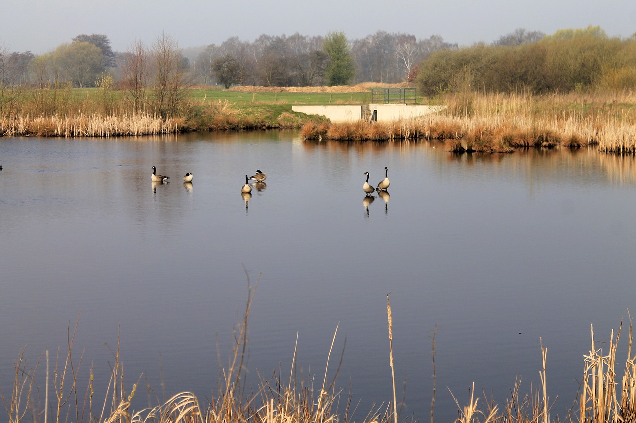 lake landscape nature free photo