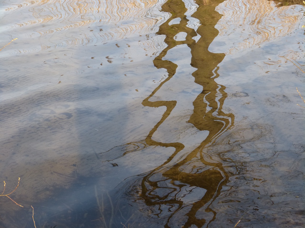 lake wave mirroring free photo