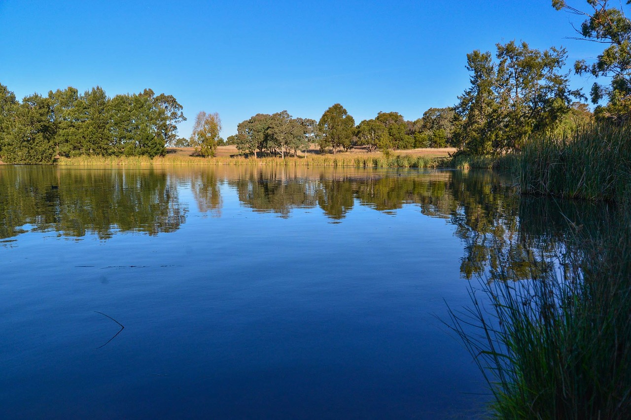 lake blue canberra free photo