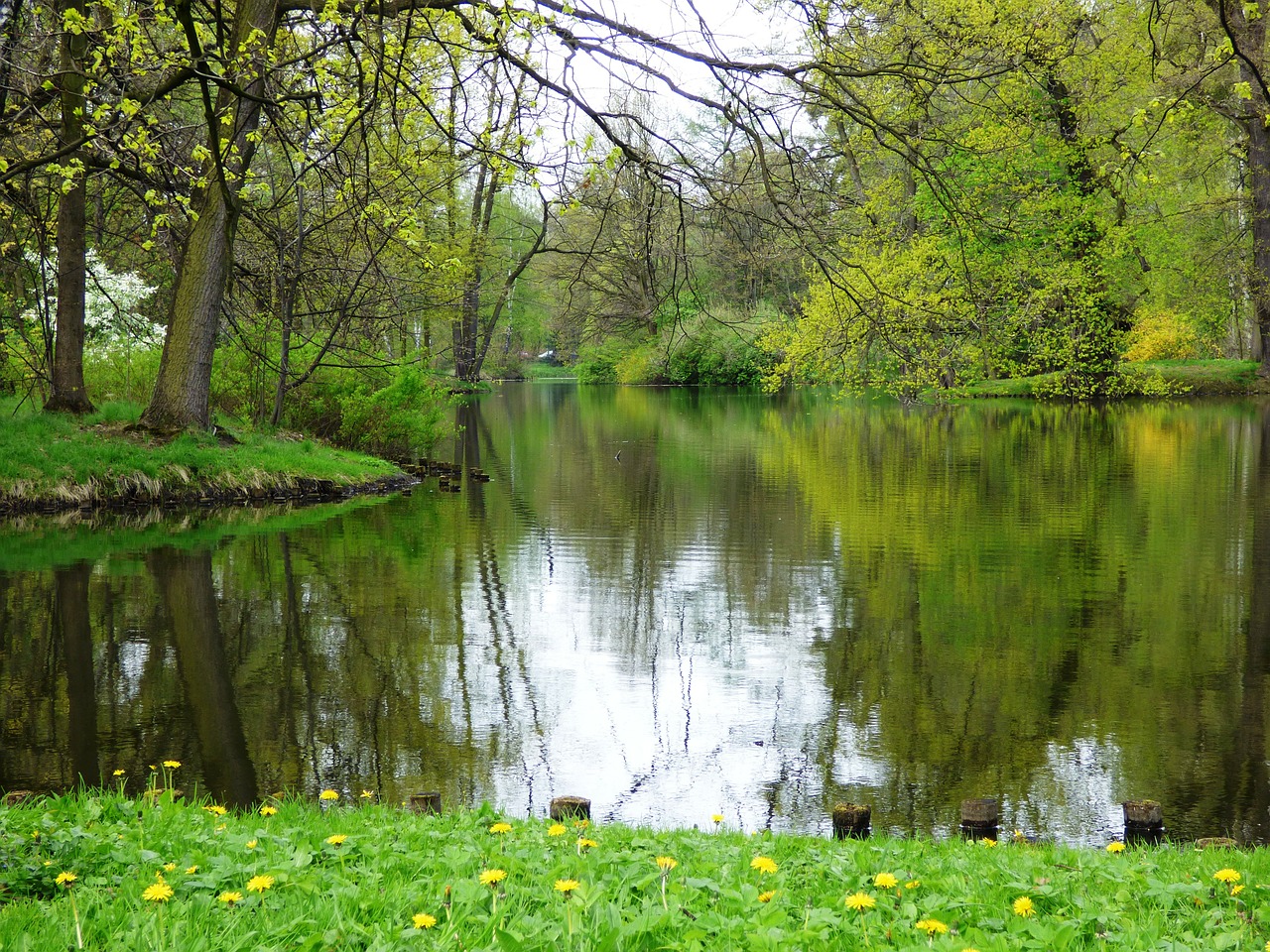 lake water the tank free photo