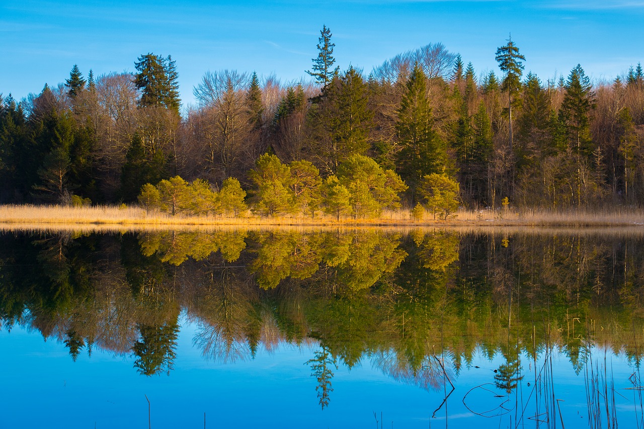 lake  body of water  nature free photo