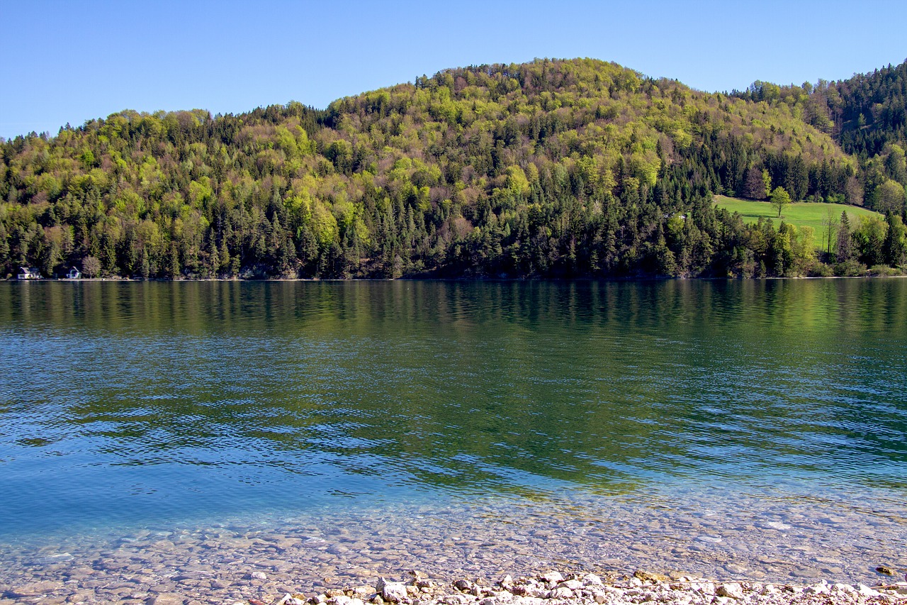 lake  fuschlsee  waters free photo