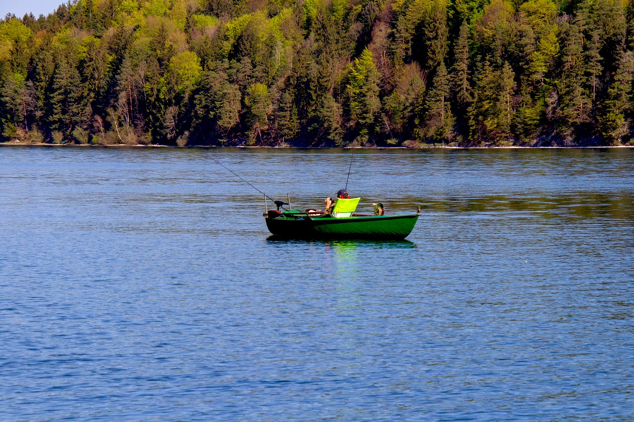 lake  fish  fisherman free photo